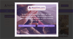 Desktop Screenshot of bestflea.com